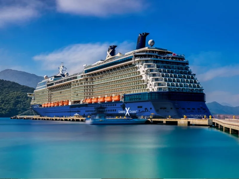 celebrity silhouette