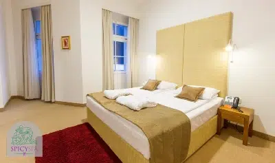 spicyspa erotravel bacchus bett