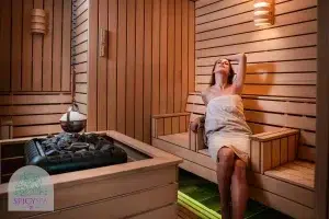 spicyspa slowenien spa erotravel sauna