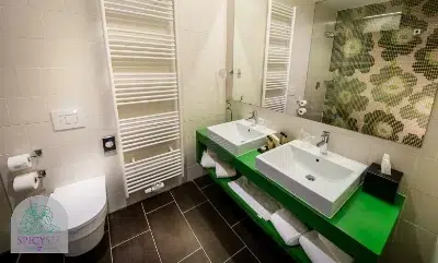 Erotravel spicyspa hotel venus badezimmer
