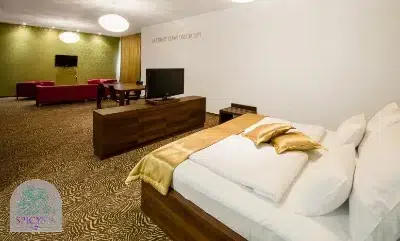 Erotravel spicyspa hotel venus zimmer groß