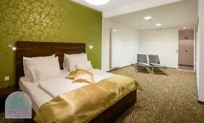 Erotravel spicyspa hotel venus zimmer bett