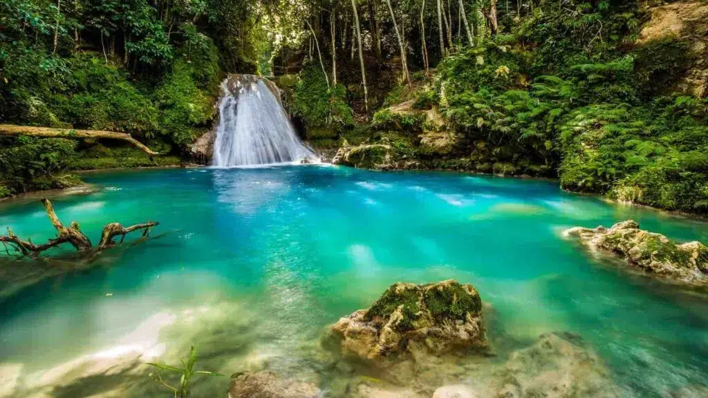 Jamaika Wasserfall