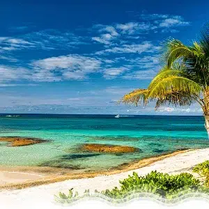 tag-4-stirrup-cay